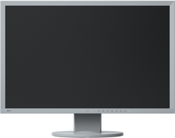 EIZO 473353 24" EV2430-GY, 1920 x 1200, 