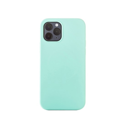 ER CS iPhone 12 mini ERCSIP12MNMGLQ-GN