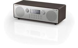 Panasonic DAB-FM Radio RF-D100BTEGT