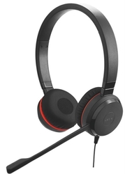 Jabra Evolve 20, Duo, USB, MS, leather