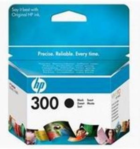 HP 300 Black, CC640EE